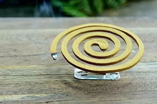 當(dāng)殺蟲劑遇見電蚊拍 校園消防安全警示