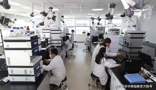 中國生物醫(yī)藥產(chǎn)業(yè) 破局與自強(qiáng)之路