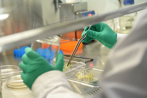 舜豐生物 以核心技術(shù)驅(qū)動(dòng)，助力北方打造種業(yè)之都