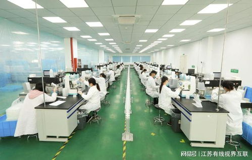 砥礪前行 打造生物醫藥民族品牌，引領技術研發與轉讓新篇章