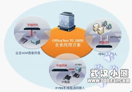 網(wǎng)經(jīng)科技湖北省新產(chǎn)品發(fā)布會圓滿落幕，引領(lǐng)網(wǎng)絡(luò)科技新浪潮